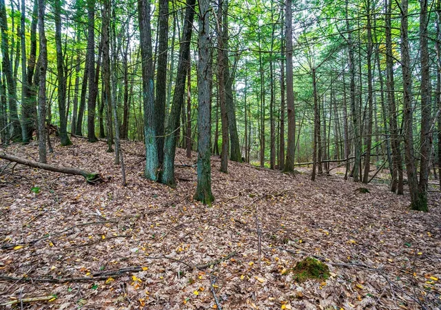 15th image of 0 Riceville, Athol, MA 01331 | MLS# 73552459