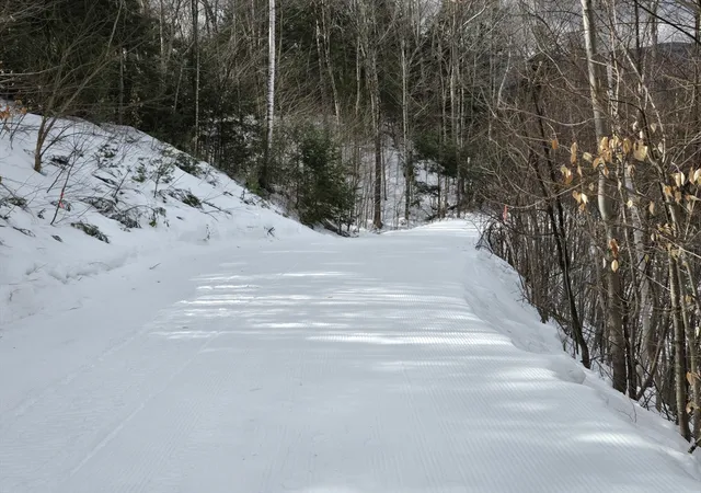 Photo 3 of Land for sale at 16 Yellow Birch Cir, Lincoln, NH 03251 | MLS# 73464191 | Listing updated on 2026-02-23