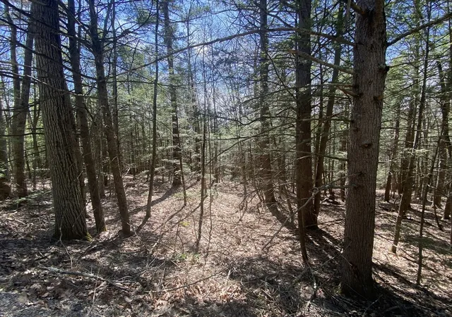 3rd image of Lot 23-25 Hawk Hill Rd, Charlemont, MA 01339 | MLS# 73505685