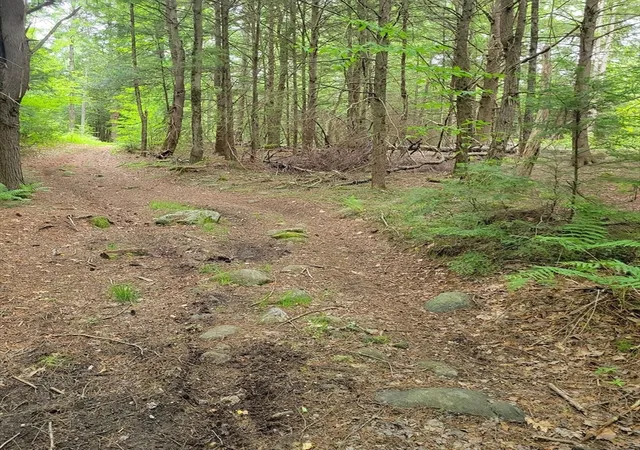 1st image of 0 Stockwell Road, Royalston, MA 01368 | MLS# 73533091