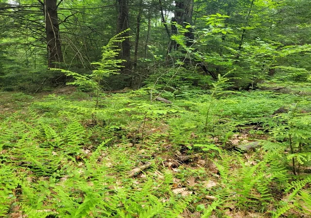2nd image of 0 Stockwell Road, Royalston, MA 01368 | MLS# 73533091