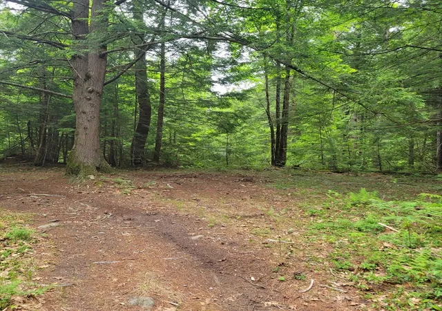 3rd image of 0 Stockwell Road, Royalston, MA 01368 | MLS# 73533091