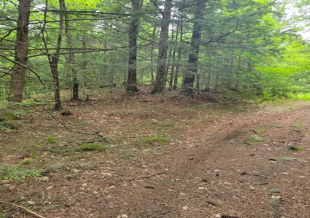 4th image of 0 Stockwell Road, Royalston, MA 01368 | MLS# 73533091