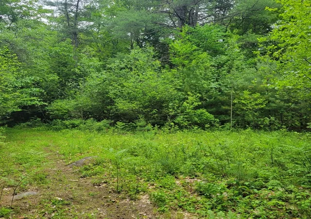 5th image of 0 Stockwell Road, Royalston, MA 01368 | MLS# 73533091