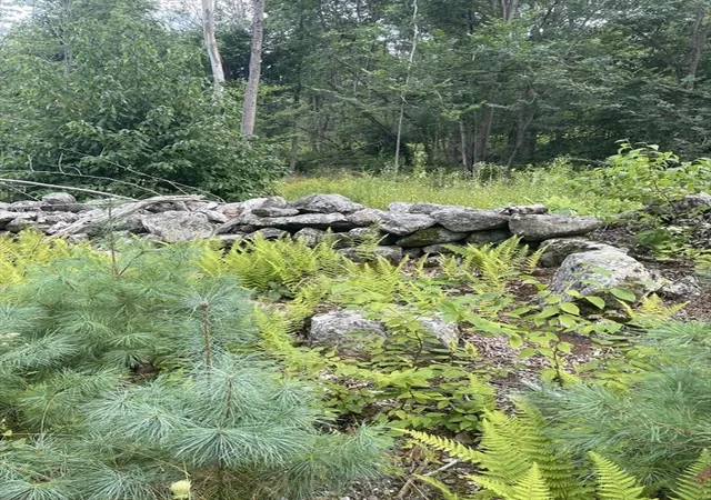 2nd image of 208 Erickson Rd, Ashby, MA 01431 | MLS# 73568004
