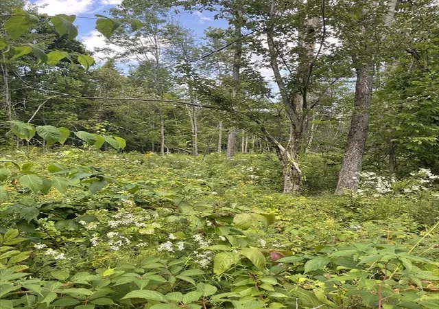 4th image of 208 Erickson Rd, Ashby, MA 01431 | MLS# 73568004