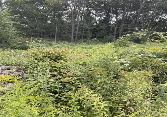 5th image of 208 Erickson Rd, Ashby, MA 01431 | MLS# 73568004
