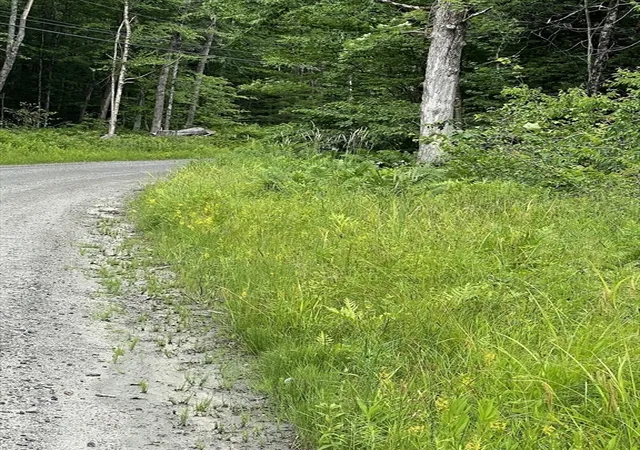Homes for sale in Middlefield, MA | Lot 21 Becket Rd, Middlefield, MA 01243 | MLS# 73548374
