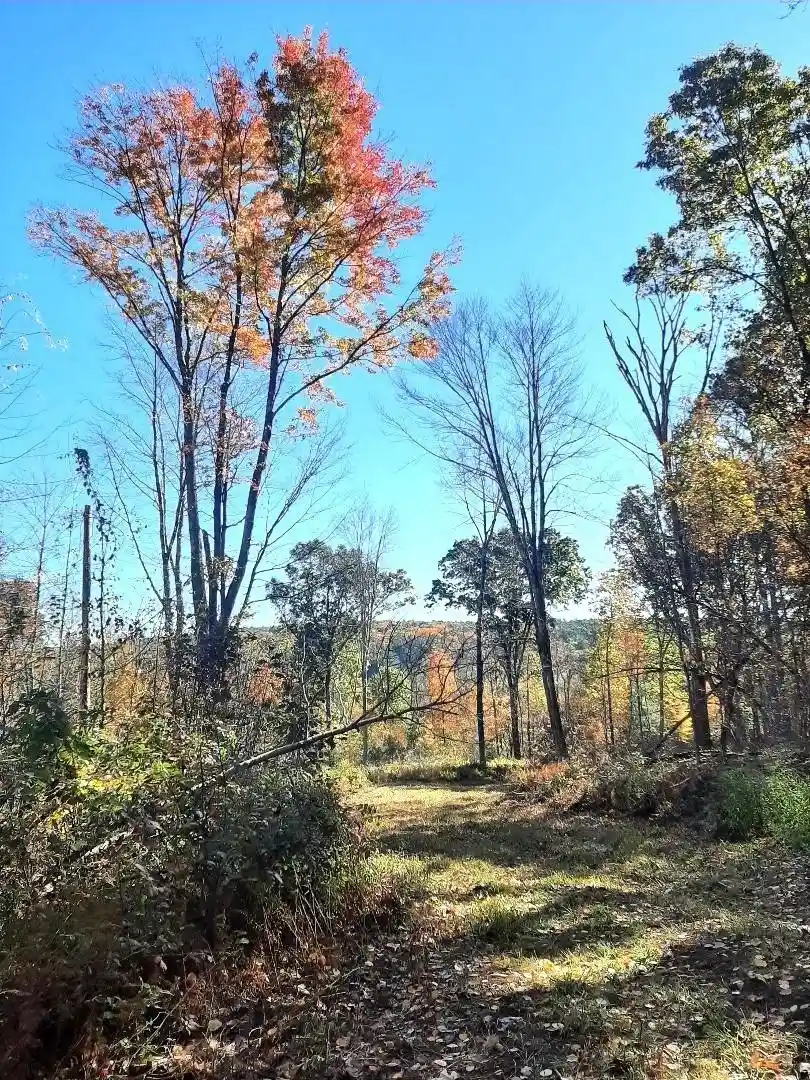 Photo 1 of Land for sale at 0 Brookfield Rd, Brimfield, MA 01010 | MLS# 73592437 | Listing updated on 2026-10-23