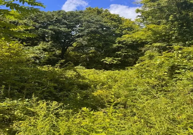Photo 1 of Land for sale at 264 Breen Rd, Hardwick, MA 01037 | MLS# 73558829 | Listing updated on 2026-08-19