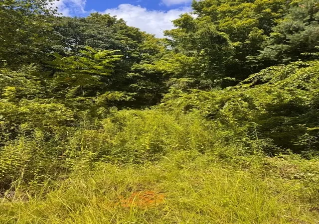 Photo 2 of Land for sale at 264 Breen Rd, Hardwick, MA 01037 | MLS# 73558829 | Listing updated on 2026-08-19