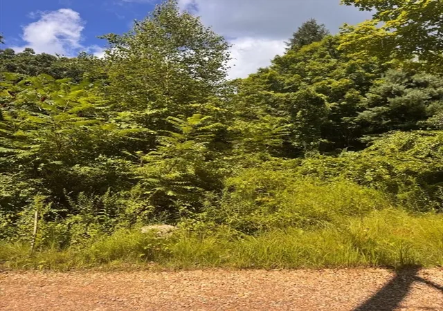 Photo 3 of Land for sale at 264 Breen Rd, Hardwick, MA 01037 | MLS# 73558829 | Listing updated on 2026-08-19