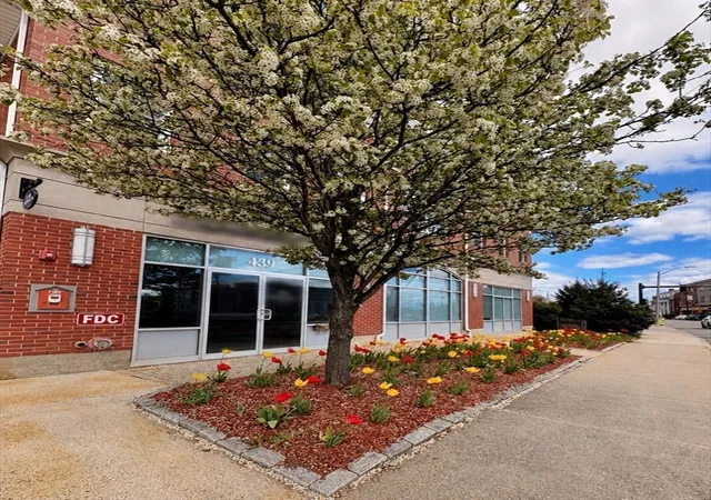 Homes for sale in Dedham, MA | 441 Washington St #203, Dedham, MA 02026 | MLS# 73535669