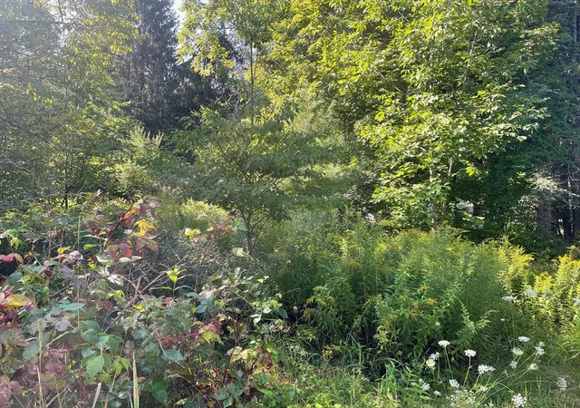 2nd image of 16 Liberty St, Templeton, MA 01436 | MLS# 73567469