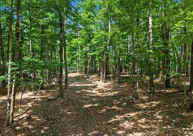 Photo 3 of Land for sale at 951 West Rd, Ashfield, MA 01330 | MLS# 73563291 | Listing updated on 2026-08-17