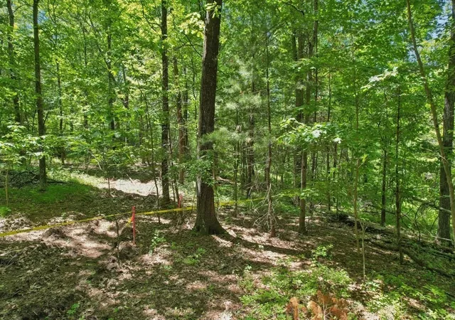 3rd image of 103 Green Street, Northborough, MA 01532 | MLS# 73533421