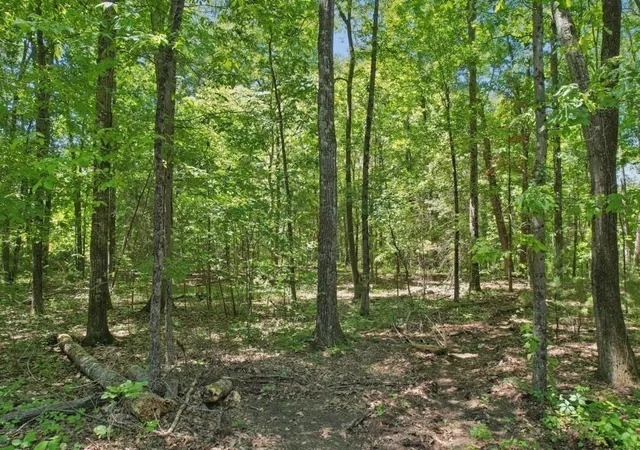 4th image of 103 Green Street, Northborough, MA 01532 | MLS# 73533421