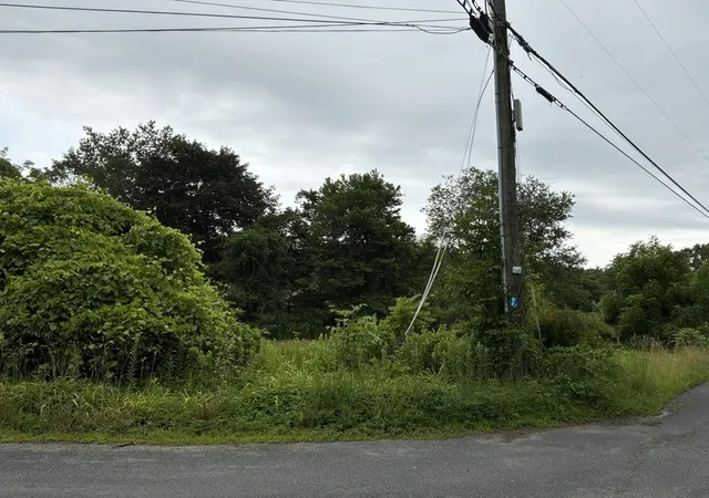 Homes for sale in Conway, MA | 0 Boyden Road, Conway, MA 01341 | MLS# 73545354