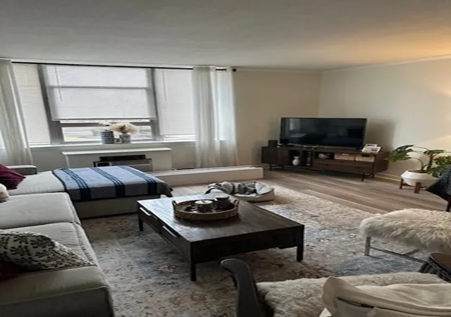 3rd image of 20 Hammond Pond Pkwy #208, Chestnut Hill, MA 02467 | MLS# 73547754