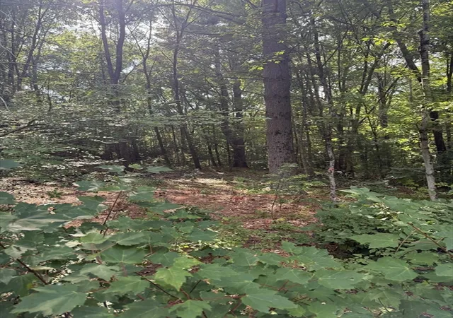 Photo 3 of Land for sale at 291 Warren Rd, Brimfield, MA 01010 | MLS# 73556099 | Listing updated on 2026-08-01