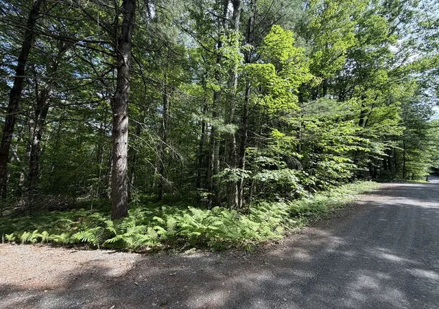Homes for sale in Heath, MA | 30 W Brook Dr, Heath, MA 01346 | MLS# 73534934