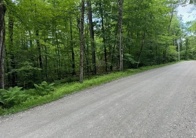Homes for sale in Rowe, MA | Lot 121 Davis Mine Rd, Rowe, MA 01367 | MLS# 73217137