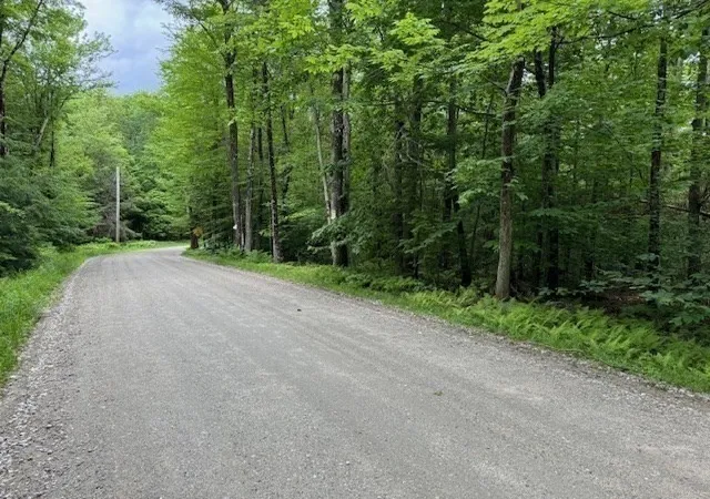 Homes for sale in Rowe, MA | Lot 121 Davis Mine Rd, Rowe, MA 01367 | MLS# 73217137
