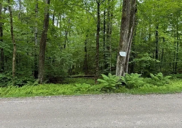 Homes for sale in Rowe, MA | Lot 121 Davis Mine Rd, Rowe, MA 01367 | MLS# 73217137