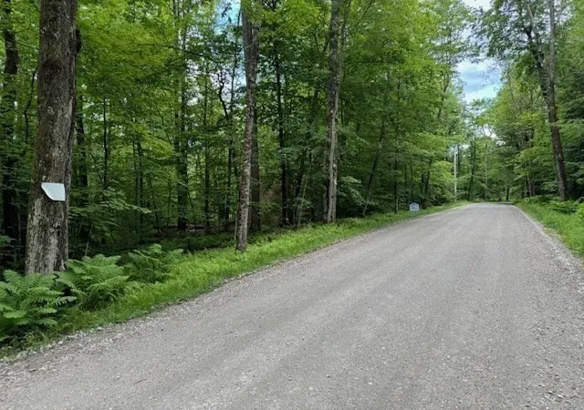Homes for sale in Rowe, MA | Lot 121 Davis Mine Rd, Rowe, MA 01367 | MLS# 73217137