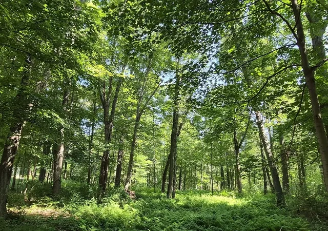 Photo 1 of Sale Pending at 125 Topsfield Rd, Ipswich, MA 01938 | MLS# 73544463 | Listing updated on 2026-09-18