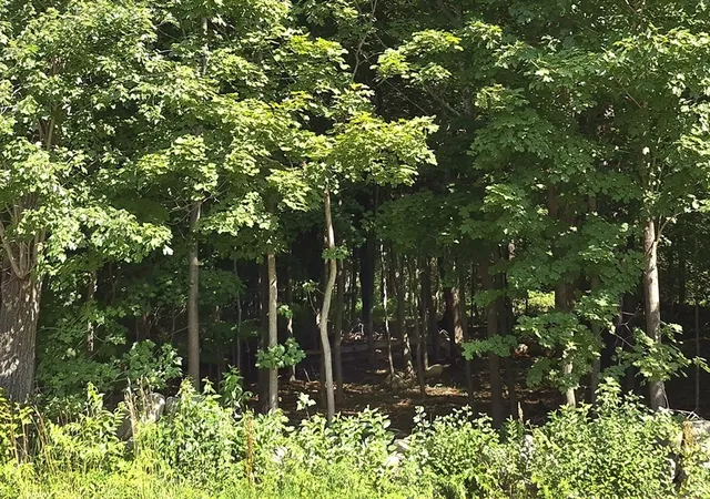 Photo 2 of Sale Pending at 125 Topsfield Rd, Ipswich, MA 01938 | MLS# 73544463 | Listing updated on 2026-09-18