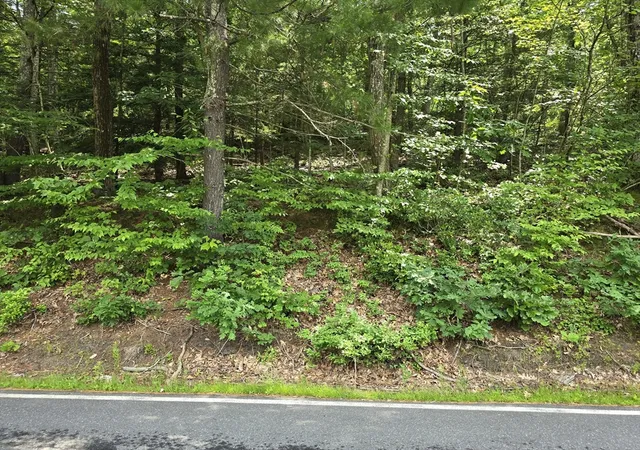 Homes for sale in Williamsburg, MA | 37 N Farms Rd, Williamsburg, MA 01039 | MLS# 73494701