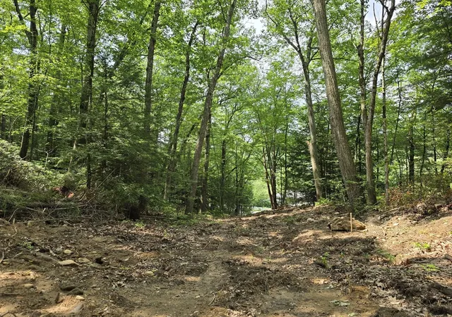 Homes for sale in Williamsburg, MA | 37 N Farms Rd, Williamsburg, MA 01039 | MLS# 73494701