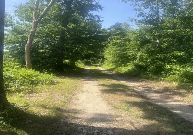 1st image of 11 Freeman Lane, Bourne, MA 02561 | MLS# 73554079