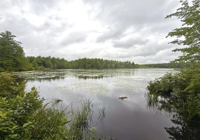42nd image of 238 Sherbert Rd, Ashburnham, MA 01430 | MLS# 73558830