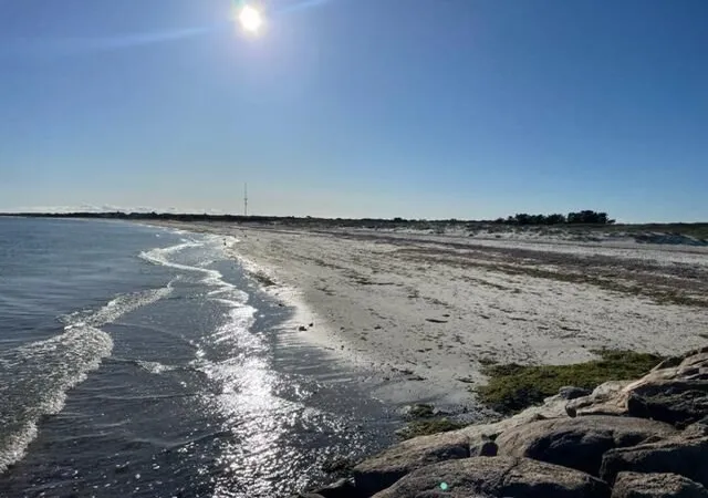25th image of 106 Pine Street, Yarmouth Port, MA 02675 | MLS# 73557345