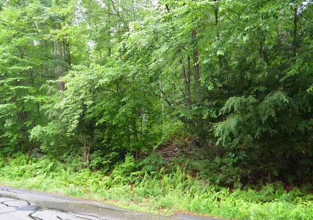 Photo 3 of Land for sale at Lot 7 Monson Turnpike Rd, Ware, MA 01082 | MLS# 73198659 | Listing updated on 2026-07-12