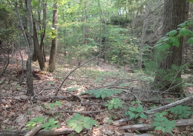 Photo 3 of Land for sale at 195 &197 Greenwood Ave, Beverly, MA 01915 | MLS# 73527526 | Listing updated on 2026-09-16