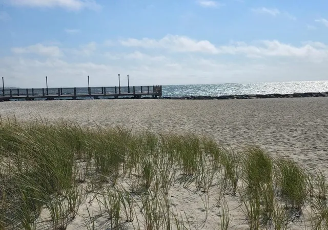 21st image of 64 Wilfin Rd, South Yarmouth, MA 02664 | MLS# 73560798