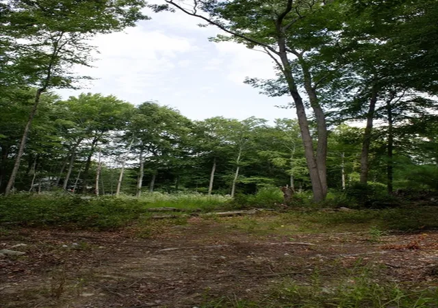 Photo 3 of Land for sale at 184 Bayview Ave, Berkley, MA 02779 | MLS# 73570186 | Listing updated on 2026-09-04