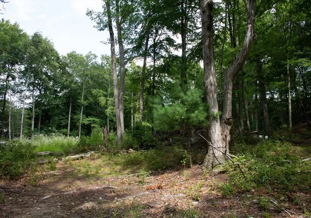 Photo 3 of Land for sale at 184 Bayview Ave, Berkley, MA 02779 | MLS# 73570186 | Listing updated on 2026-09-04