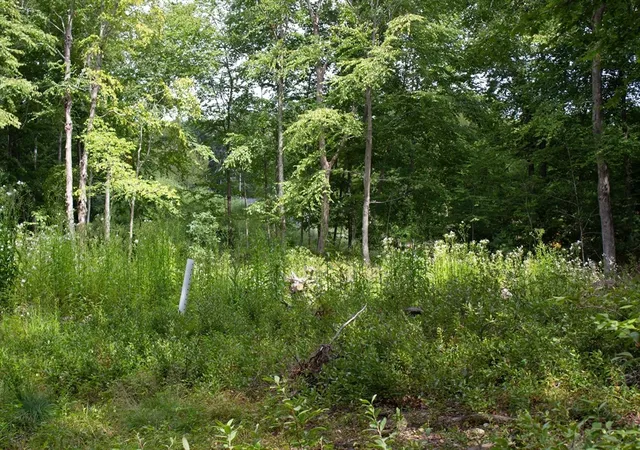 Photo 4 of Land for sale at 184 Bayview Ave, Berkley, MA 02779 | MLS# 73570186 | Listing updated on 2026-09-04