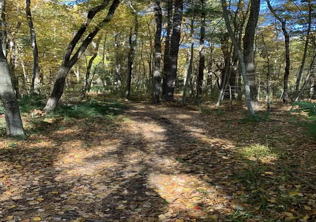 1st image of 90 Maple St, Sherborn, MA 01770 | MLS# 73476870