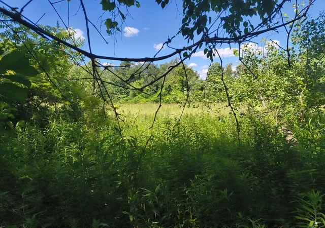 3rd image of Lot 3 Holcomb Road, Chester, MA 01011 | MLS# 73543996