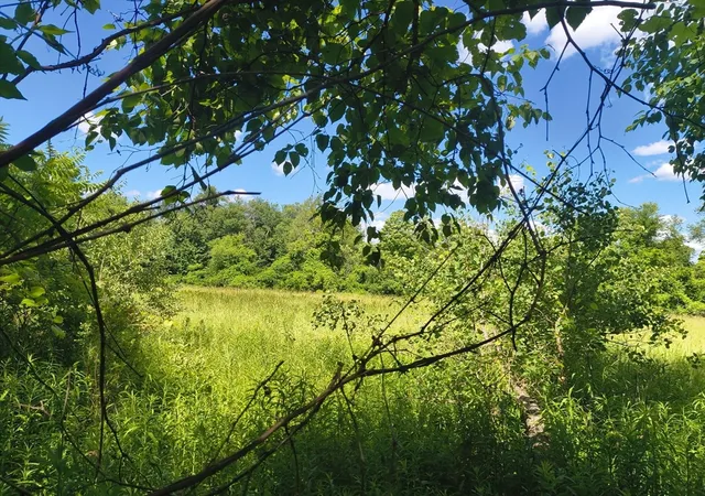 4th image of Lot 3 Holcomb Road, Chester, MA 01011 | MLS# 73543996