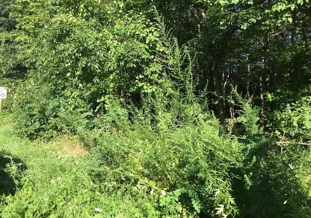 1st image of 145 Winthrop St, Rehoboth, MA 02769 | MLS# 73567377