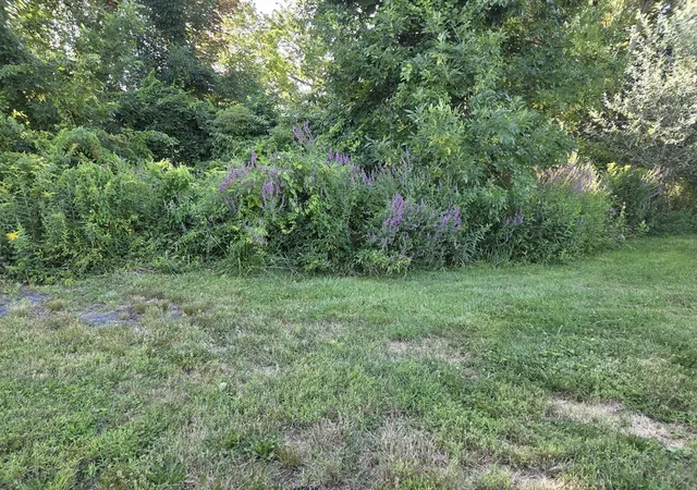 1st image of 0 River Rd E, Berlin, MA 01503 | MLS# 73555933