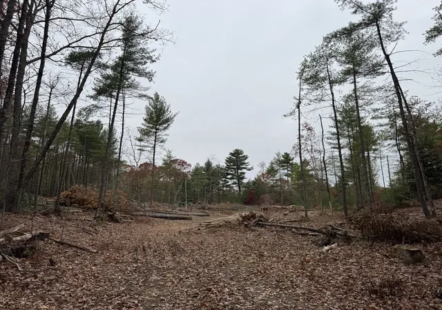 Photo 3 of Land for sale at 0 Steere Farm Rd, Harrisville, RI 02830 | MLS# 73451641 | Listing updated on 2026-05-11