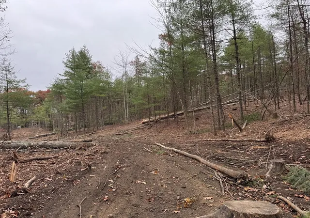 Photo 4 of Land for sale at 0 Steere Farm Rd, Harrisville, RI 02830 | MLS# 73451641 | Listing updated on 2026-05-11