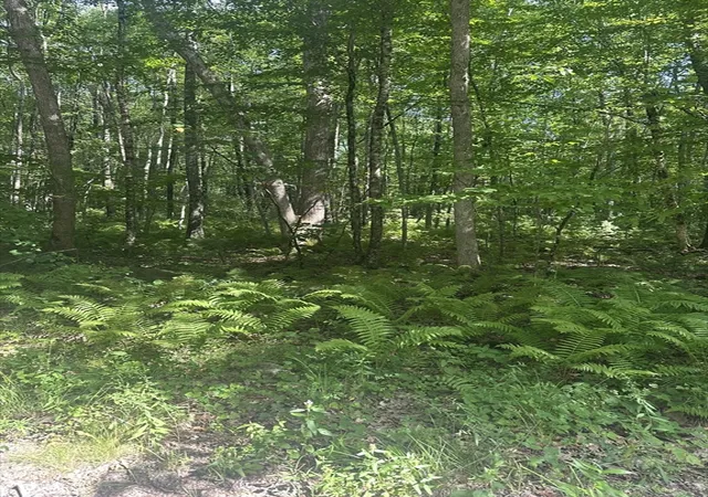 Photo 2 of Sale Pending at Parcel 2 Ayres, Monson, MA 01057 | MLS# 73554156 | Listing updated on 2026-09-28